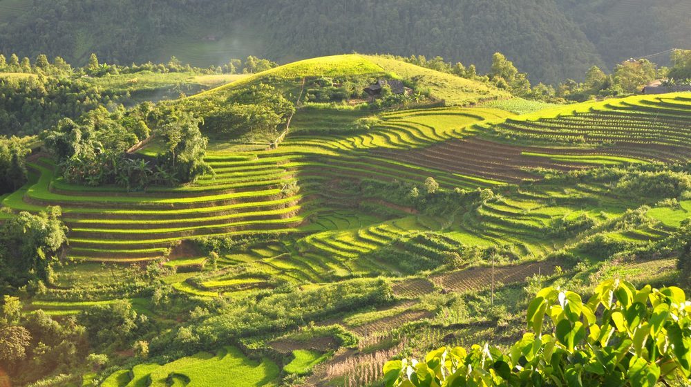 Vietnam en trois semaines - Des terrasses montagneuses aux voies navigables du Mékong